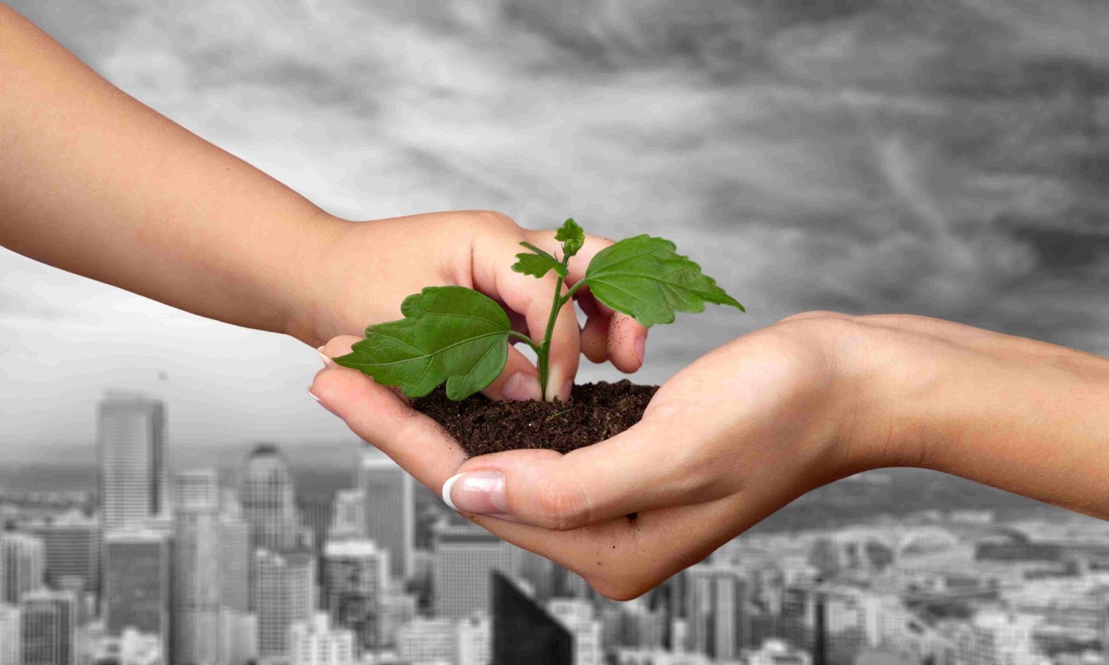 sustainability-and-esg-ethics-in-business-practices